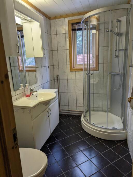 Apartment 2 Sleeping Rooms In Rjukan Exterior foto